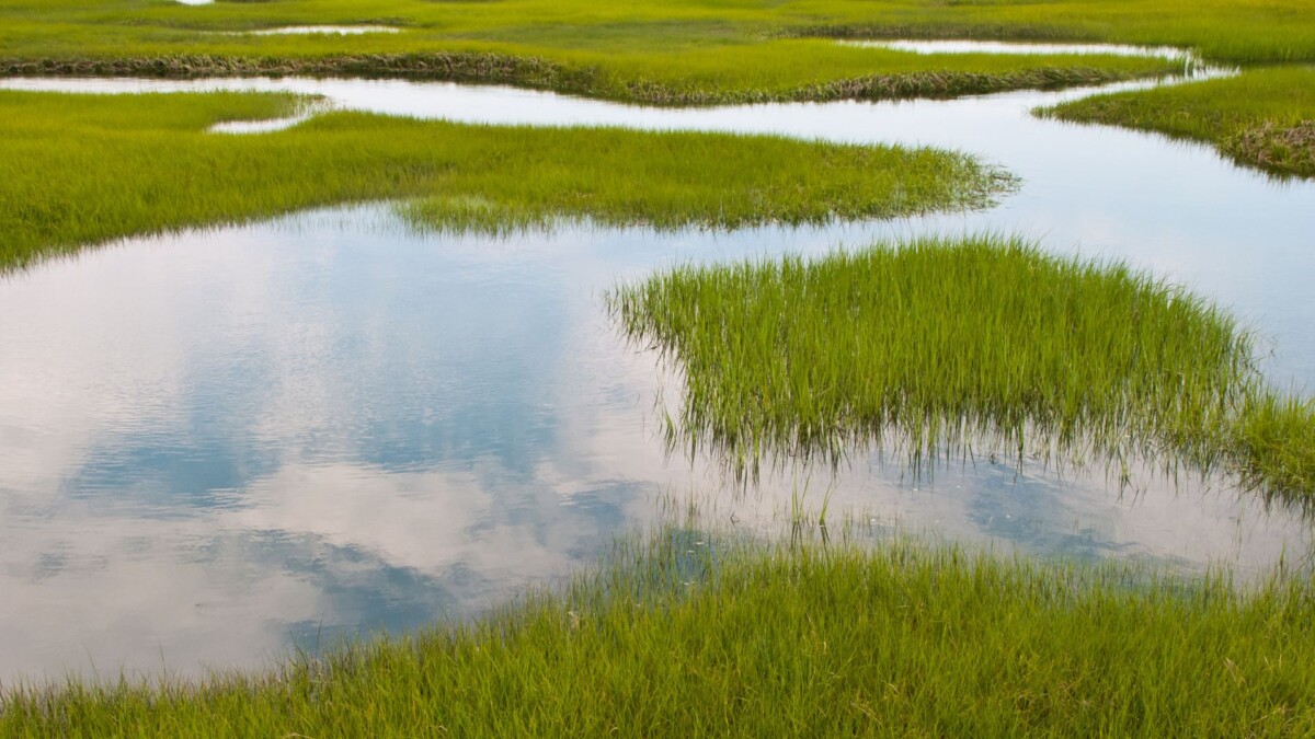 Mike’s Monday Message, February 23rd, 2026